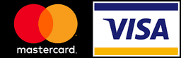 Visa Logo